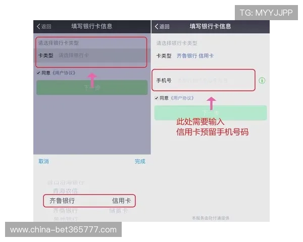 365bet网站app支持哪些支付方式，确保您的资金安全与便捷操作